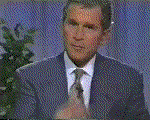 Bush funny animation