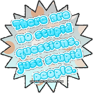 Stupid people