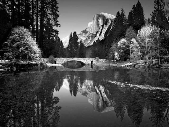 Nature