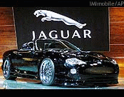 jaguar