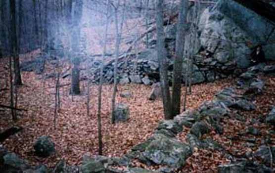 nature