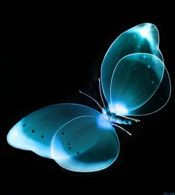 3D-blue-butterfly