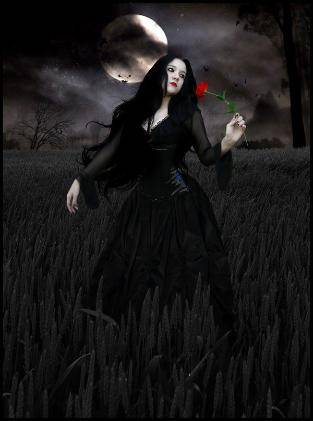 Moonlight