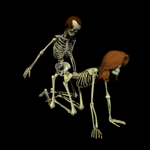 skull n bones club? 