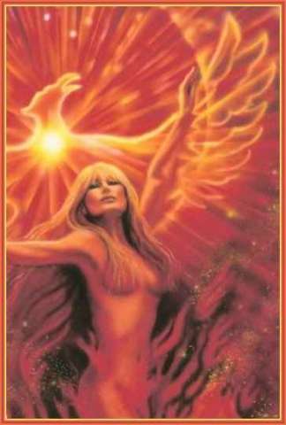 Wicca- fi