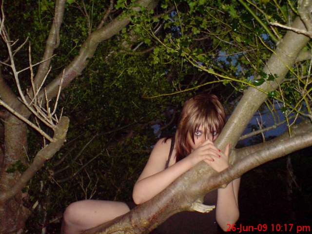 Up a tree