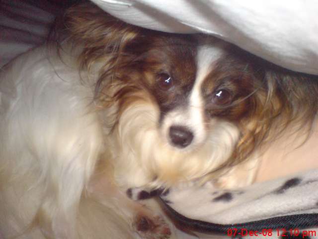 Hidin