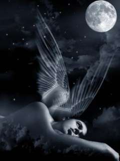 angel n moon