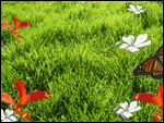 butterfly.gif