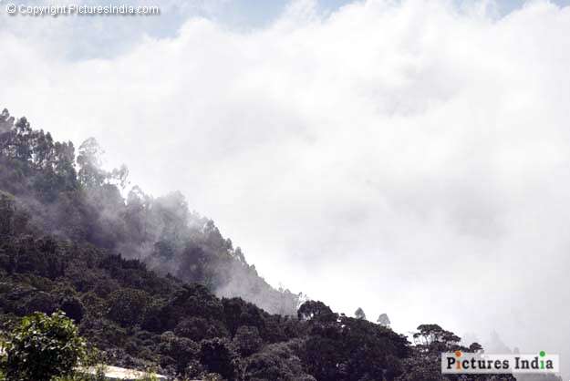 Clouds On Munnar Hill