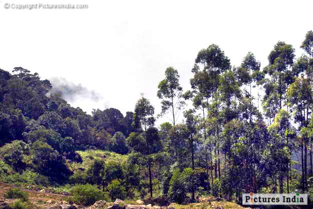 Clouds On Munnar Hill2
