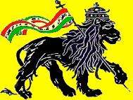 LION of J