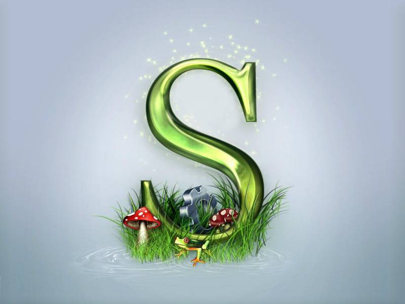 s