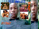 Stylz 4
