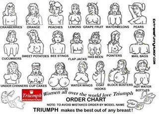 What type
