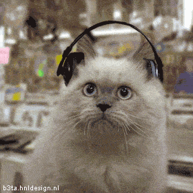Music Cat