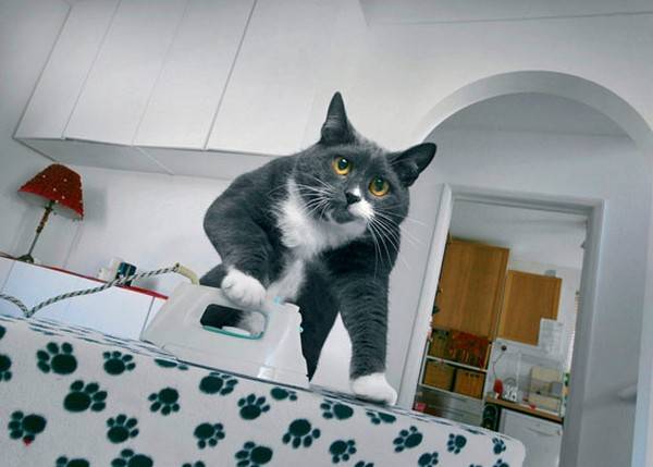 Ironing S