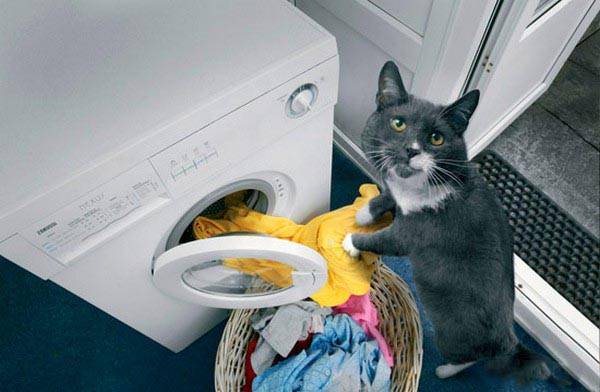 Laundry A