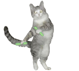 Dancing Cat