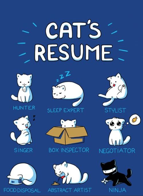 Cats Resume