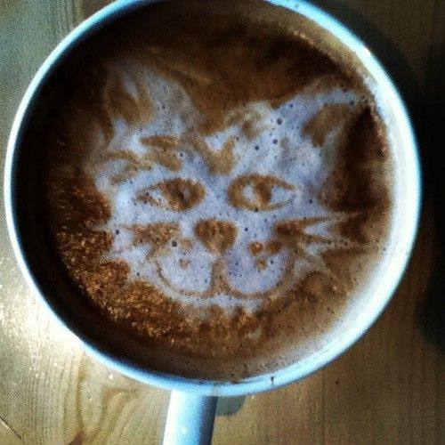 Cat Coffe