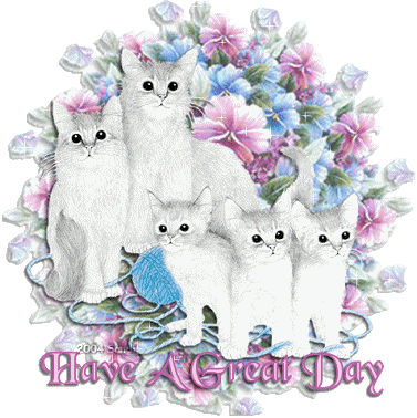 Cat Family Wishes
