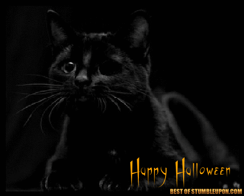 Winking Halloween Cat