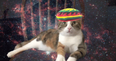 Reggae Space Cat
