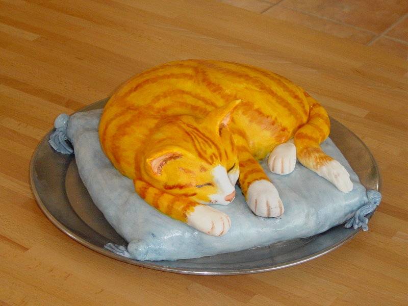 Cat Cake
