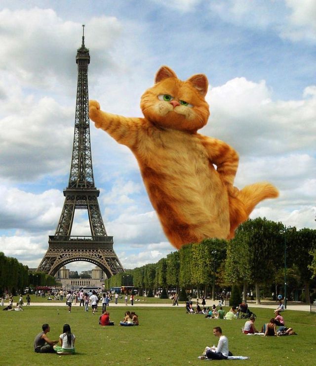 Garfield In Paris