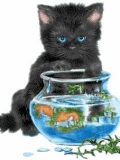 Black Kitten & Goldfish Bowl