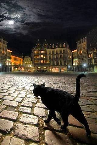 Midnight 