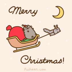 Pusheen The Cat