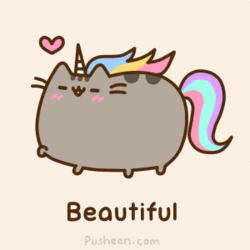 Pusheen The Cat