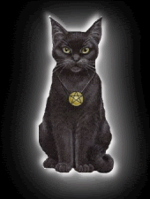 Magic Black Cat