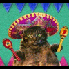 Mexicano Cat