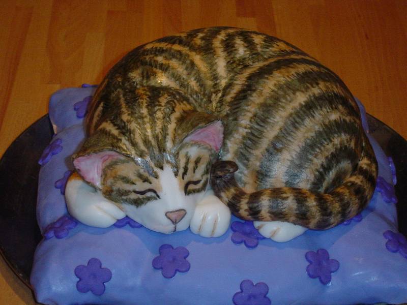 Cat Cake
