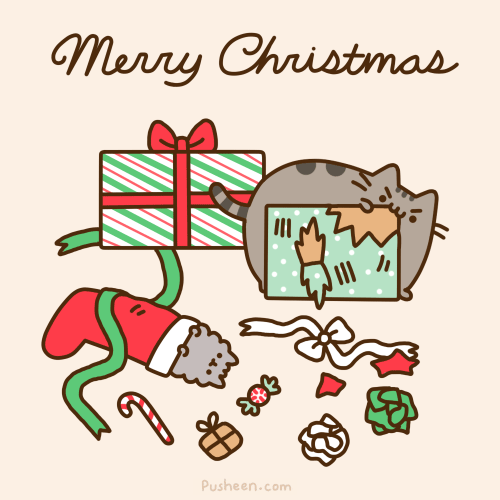 Pusheen The Cat
