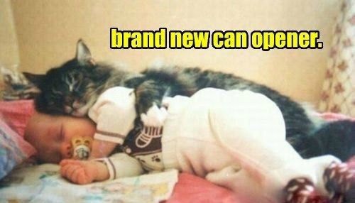 Cat & Bab