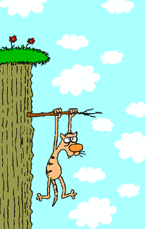 Cat Hanging On