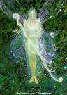fairy til