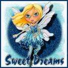 swt drms