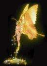 fairy i l