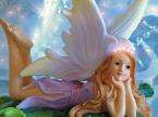 dreams