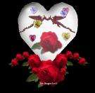 love-bird