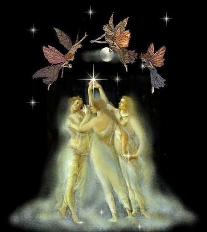 fairy i l