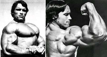 Arnold''s