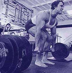 Arnold''s