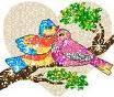 love bird