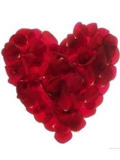 Rose peta